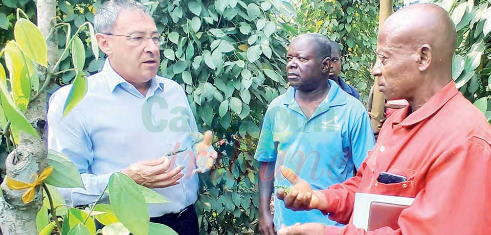 Le diplomate français a visité vendredi deux exploitations agricoles bénéficiaires des financements de l’Afd-Proparco avant de signer une garantie avec Advans Cameroun.