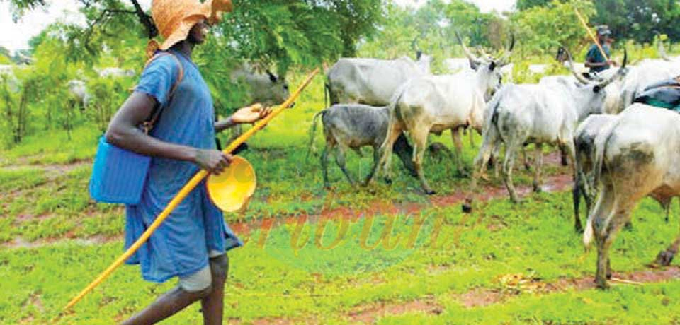 Nigeria: Nomads, Farmers’ Clashes Leave Fifty-Six Dead Nigeria: Nomads, Farmers’ Clashes Leave Fifty-Six Dead
