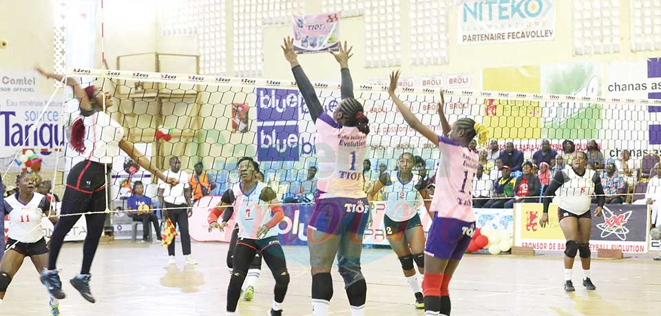 Coupe du Cameroun de volley-ball : Cameroun Sport et Bafia vainqueurs