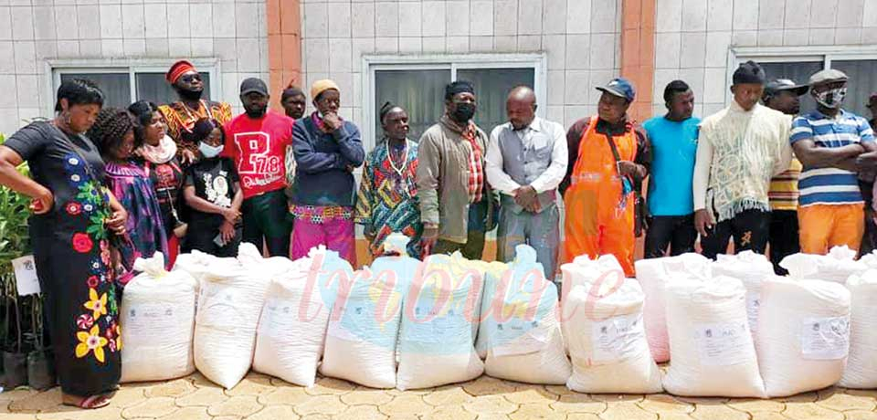 Boosting Agric. Productivity : NW Farmers Get Improved Seeds