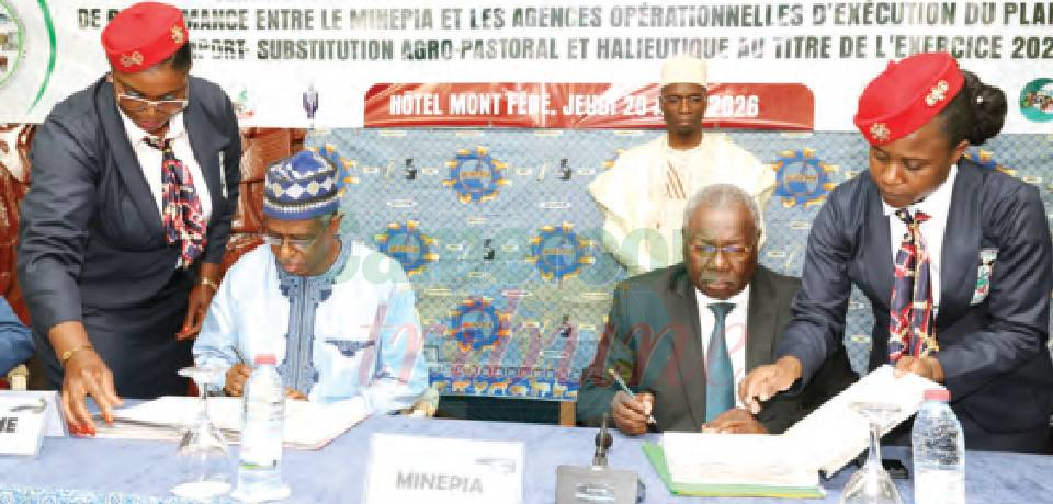 Plan intégré d’import-substitution agropastoral et halieutique: On accélère la mise en œuvre Plan intégré d’import-substitution agropastoral et halieutique: On accélère la mise en œuvre