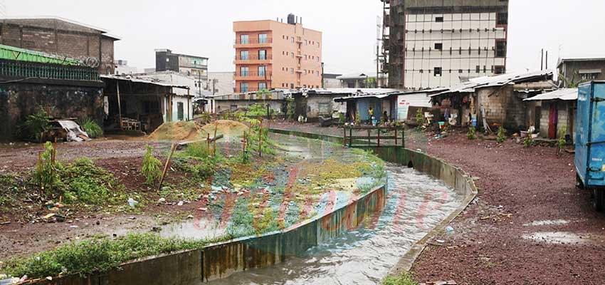 Eaux pluviales : les drains font du bien