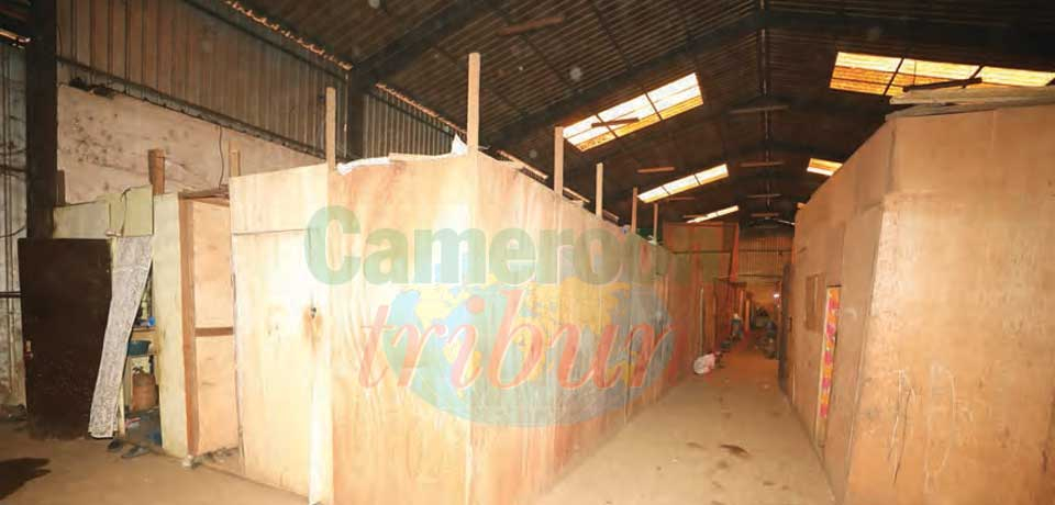 Mvog-Betsi Poultry Complex : Transformed Into Slum For IDPs Mvog-Betsi Poultry Complex : Transformed Into Slum For IDPs