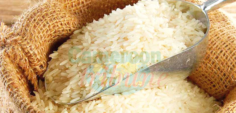 Production de riz : objectif 100.000 tonnes en 2022 Production de riz : objectif 100.000 tonnes en 2022
