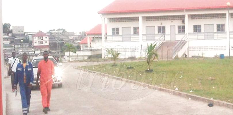 Limbe Vocational Training Centre: Another Development Tool For South West Region Limbe Vocational Training Centre: Another Development Tool For South West Region