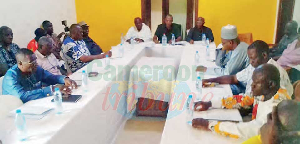 Handball : Members Examine Pertinent Issues