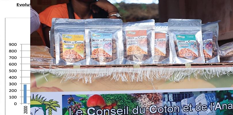 Transformation de l’anacarde: l’Appel d’Abidjan