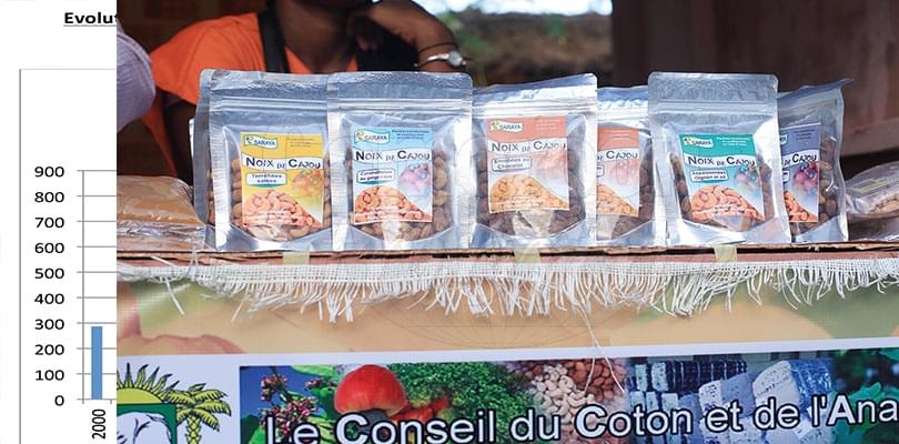 Transformation de l’anacarde: l’Appel d’Abidjan Transformation de l’anacarde: l’Appel d’Abidjan