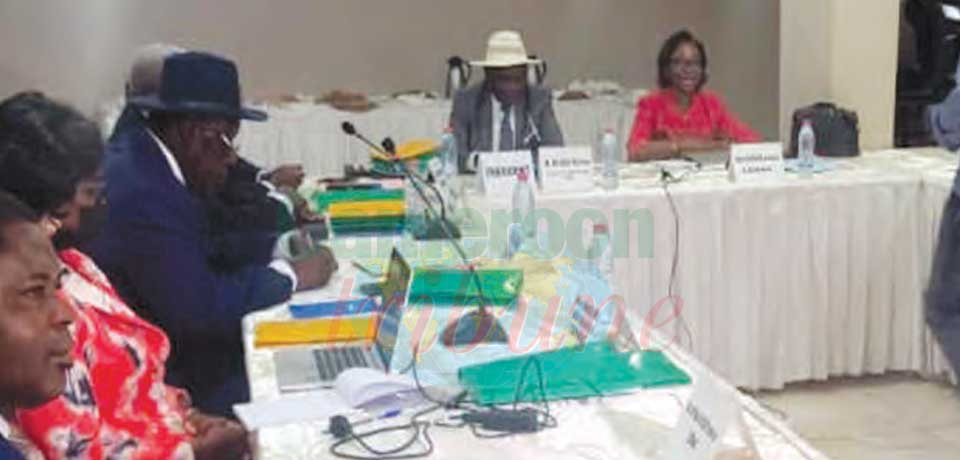 CEMAC : Competition Council Holds Session