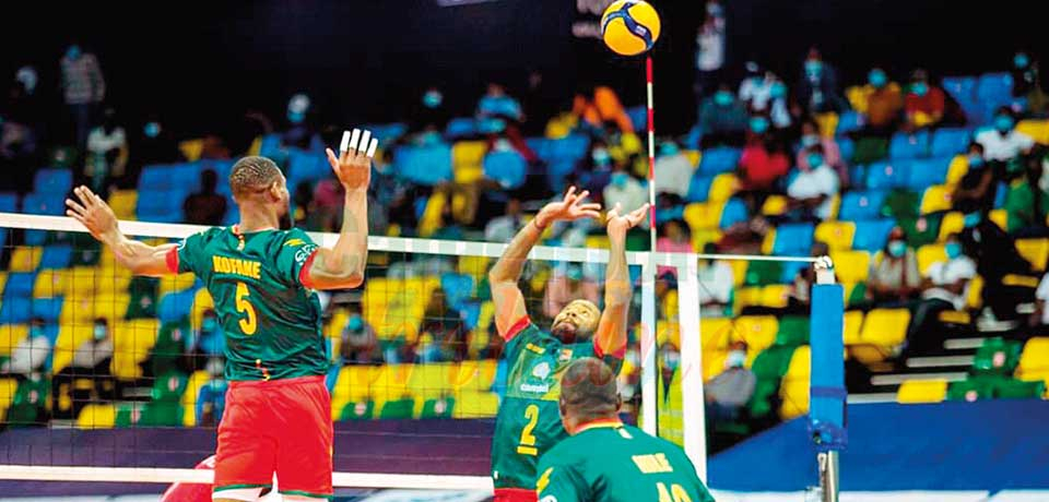 Lions de volleyball  : leçons d’une médaille d’argent