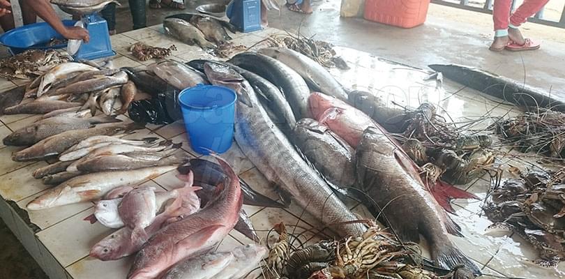 Kribi: du poisson à gogo