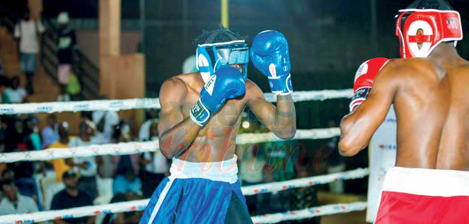 Fédération camerounaise de boxe : l’alternative de la normalisation