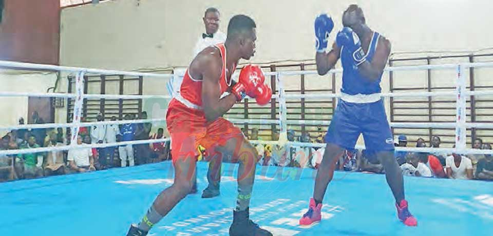 Coupe du Cameroun de boxe : le sacre d’Ebolowa Ier