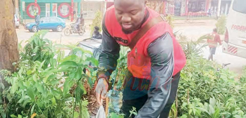 Boris Sadeu : horticulteur depuis le berceau