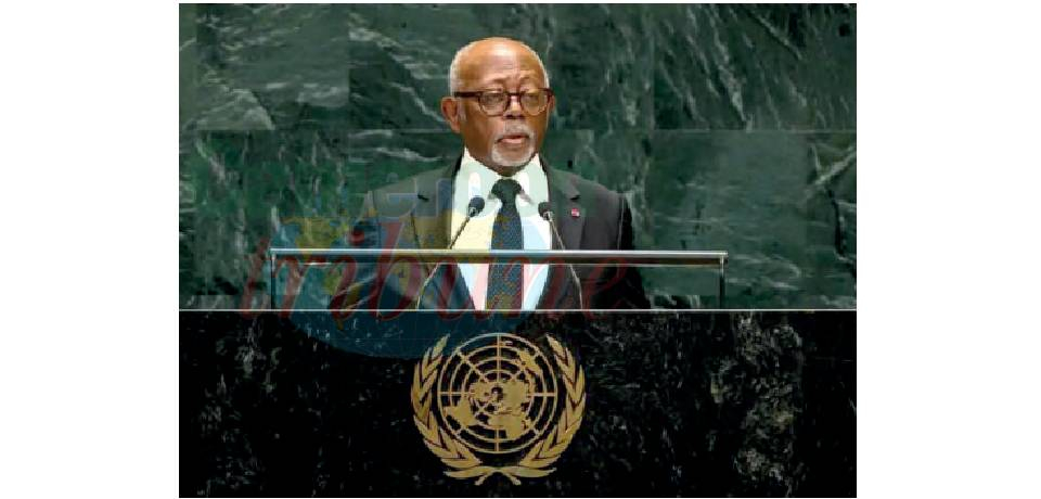 Fight Against Terrorism: Cameroon Restates Peacekeeping Operations
