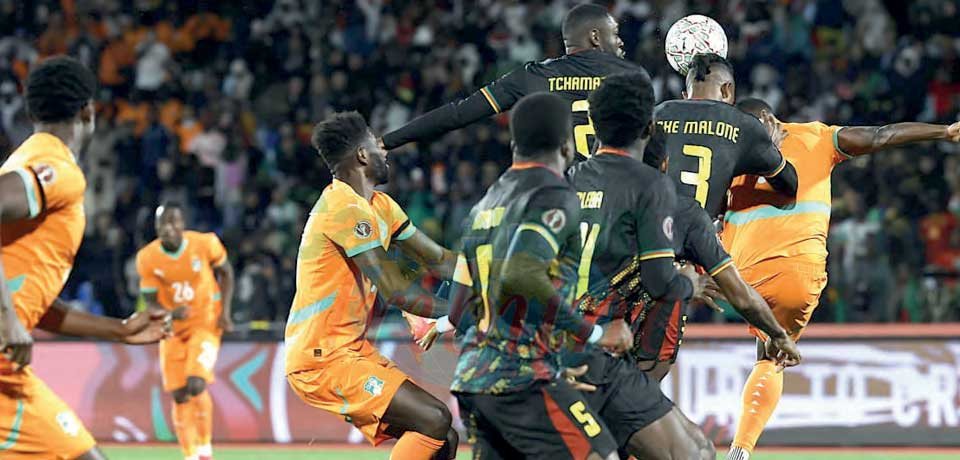 Des Lions solidaires