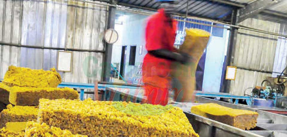 Dynamiser le Made in Cameroon : l’agro-industrie, c’est sûr