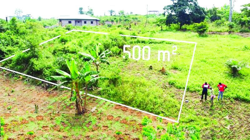 Foncier :  l’assainissement à l’épreuve du terrain