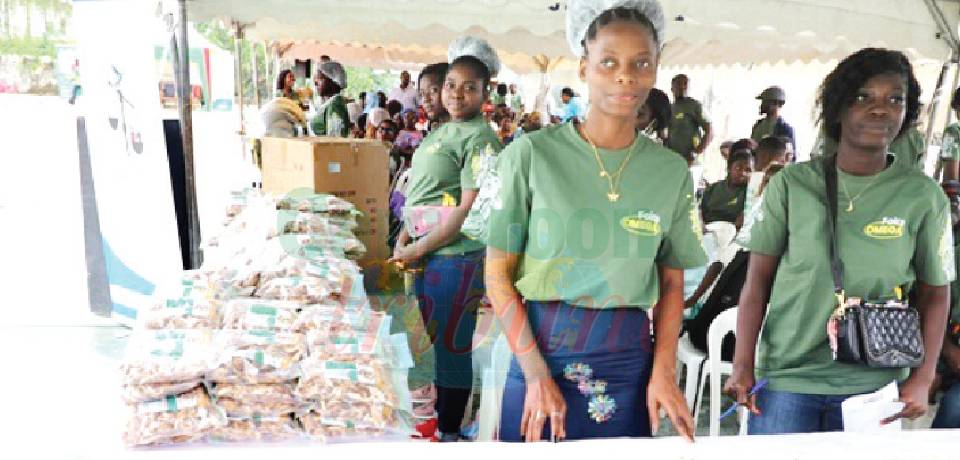 Culture du champignon comestible: 200 jeunes de Douala III formés