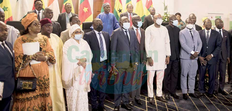 Conseil international consultatif de la noix de cajou: Le Cameroun assure la présidence Conseil international consultatif de la noix de cajou: Le Cameroun assure la présidence