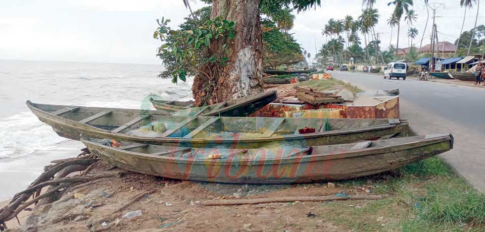 A Kribi, le parc à pirogues du marché aux poissons se trouve désormais sur le trottoir.