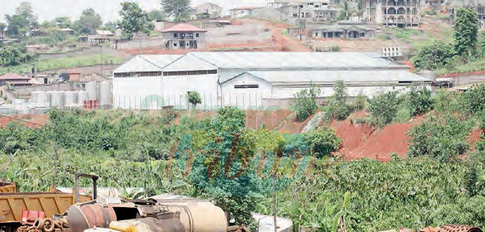 Occupation de la zone industrielle de Yaoundé-Sud : des malentendus persistent