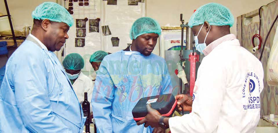 « FEF – Start-Up 237 »: Une mission de suivi sur le terrain « FEF – Start-Up 237 »: Une mission de suivi sur le terrain