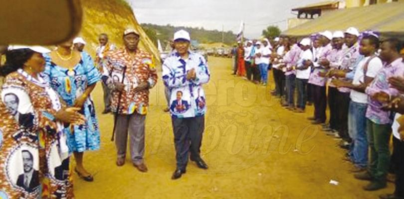 CPDM: Minister Nganou Canvasses For Votes