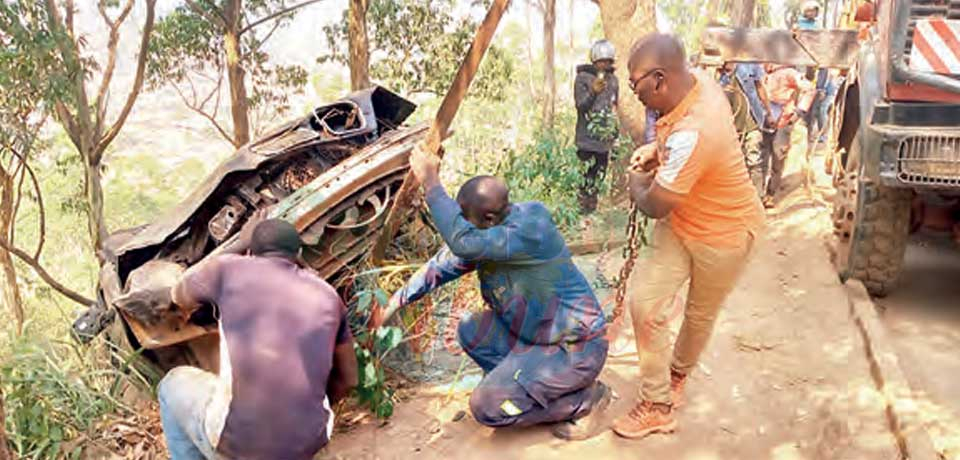 Bamenda Station Hill : Eucalyptus Trees Prevent Deadly Accident