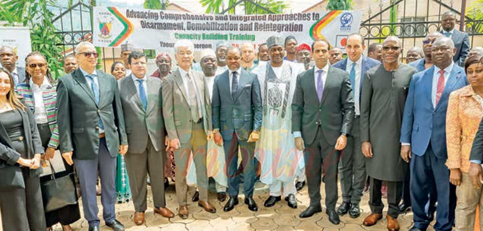 Désarmement, démobilisation et réintégration : Cameroun et Egypte, même combat Désarmement, démobilisation et réintégration : Cameroun et Egypte, même combat