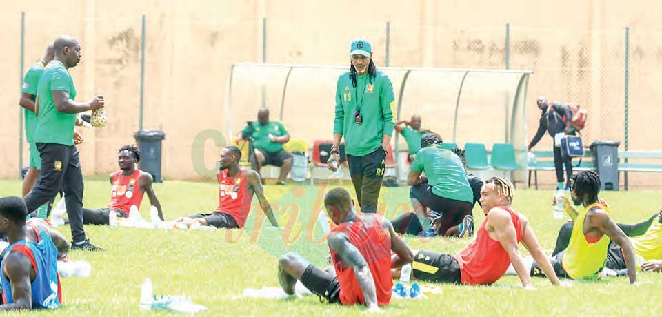 2023 AFCON Qualifiers : Lions Device Winning Strategies