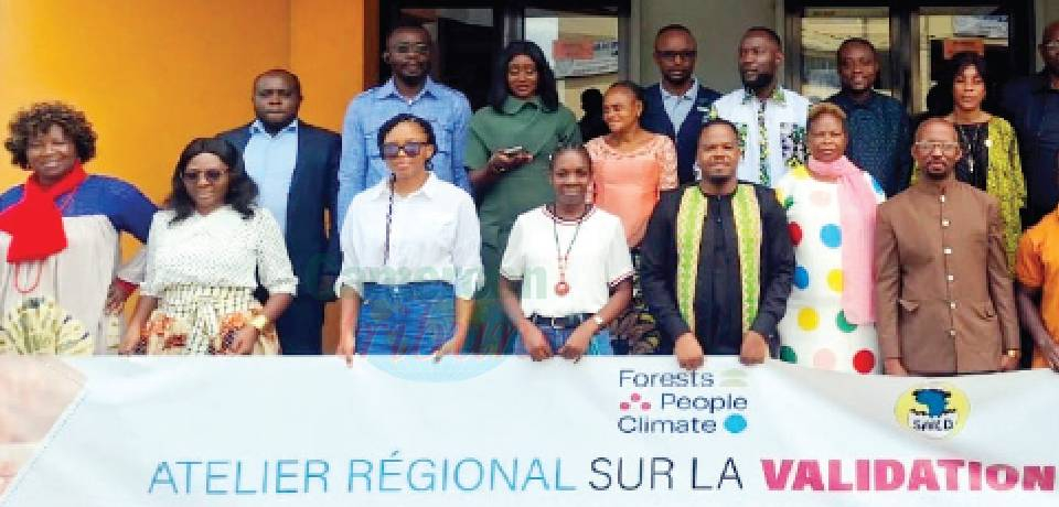 Protection du Bassin du Congo: La société civile harmonise ses positions