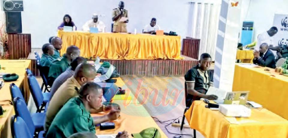 Parcs nationaux de Boumba-Bek et de Nki: A l’école des droits de l’Homme