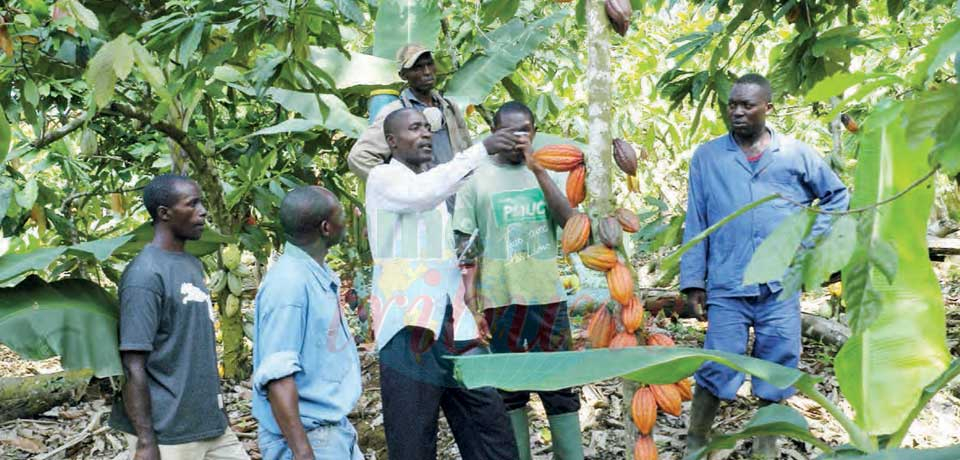 Indisponibilité des matières premières : cette faiblesse qui impacte la production