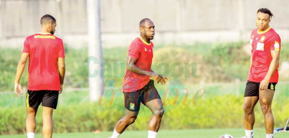 Lions indomptables : l’entraînement collectif a repris