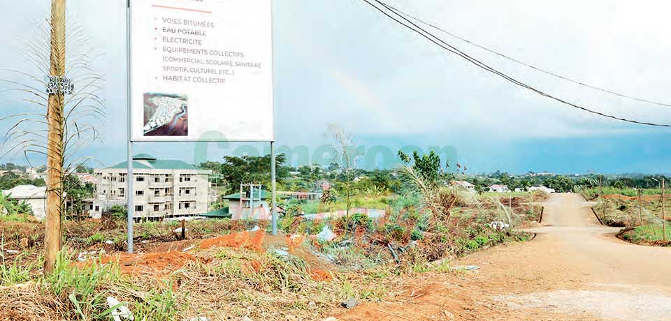 Foncier : 486 parcelles à vendre à Yaoundé