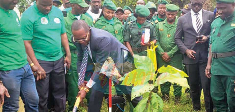 Preserving Forests Remain Vital Preserving Forests Remain Vital