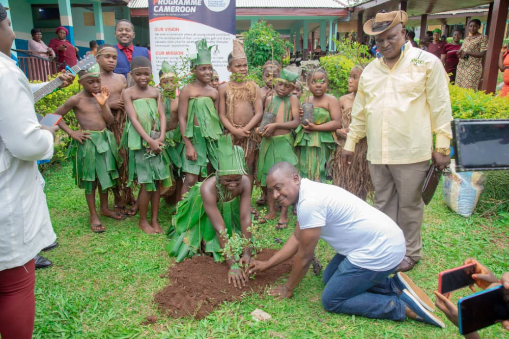 Trees provide oxygen, shelter, water and beautify the environment.