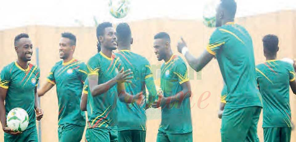 Ethiopie : mise au vert tranquille à Yaoundé