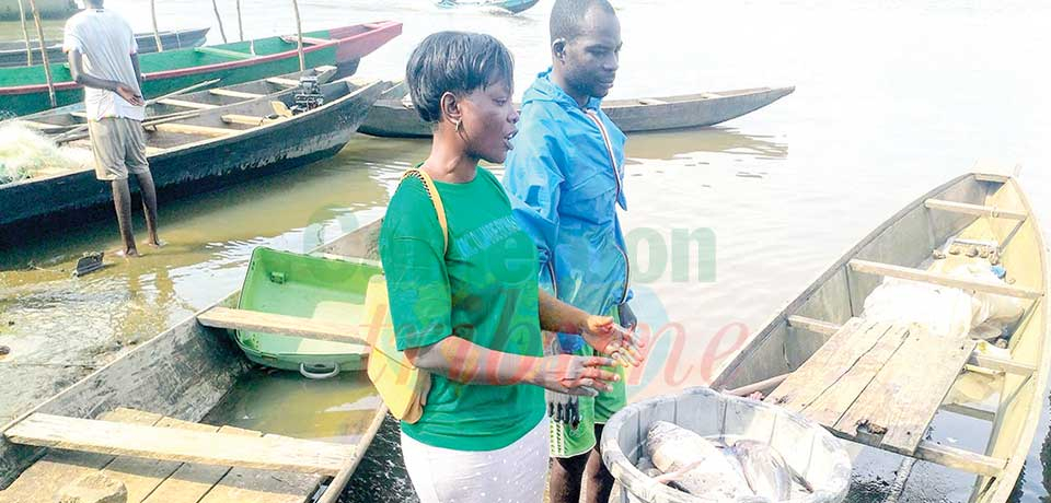 Pollution du fleuve Wouri : le poisson en voie de disparition