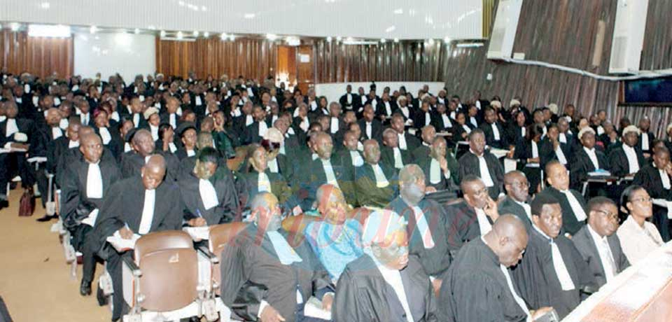 Le Barreau du Cameroun va bientôt accueillir de nouveaux avocats.