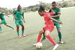 D1 féminine : les retrouvailles Louves-Amazone