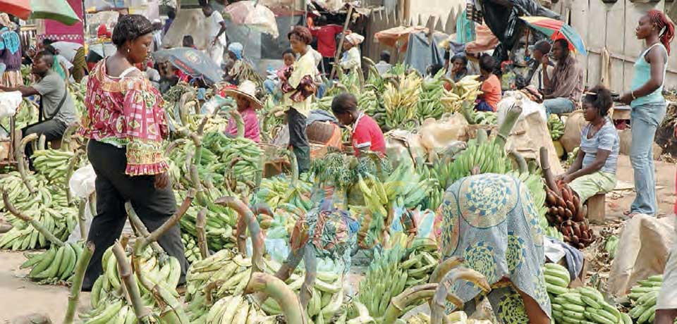 Insécurité alimentaire : l’Afrique centrale et de l’Ouest exposées