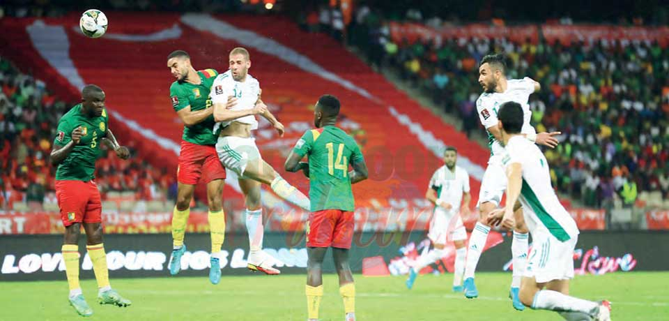 Eliminatoires Qatar 2022 :   les Lions surpris à Douala