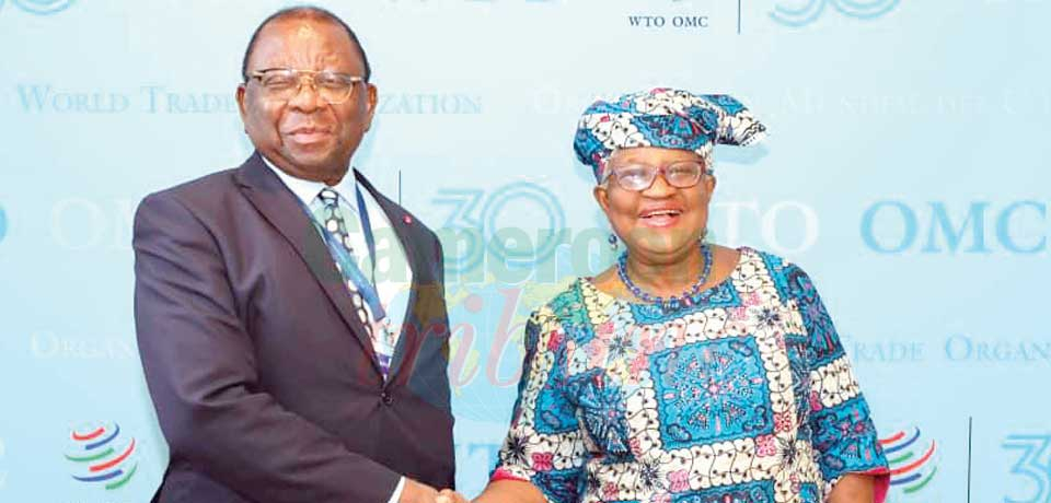Organisation mondiale du Commerce: Le Cameroun plaide pour des réformes