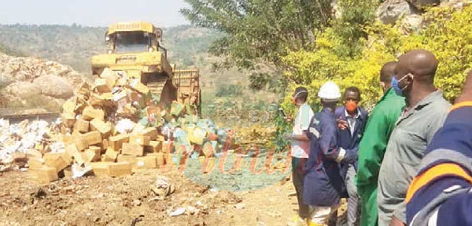 Illicit Drugs Destroyed In Bafoussam Illicit Drugs Destroyed In Bafoussam