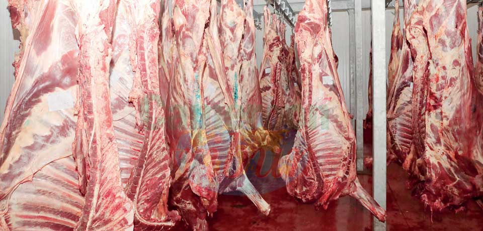 Viande de bœuf : des pistes pour améliorer la disponibilité