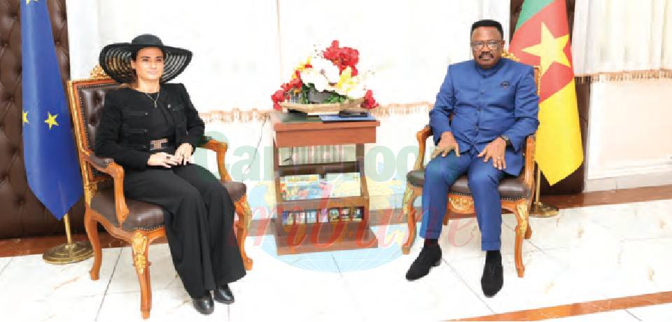 Cameroon-European Union: New Ambassador Takes Office