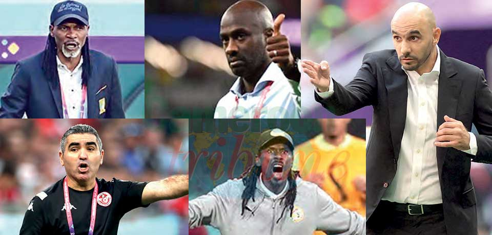 African Coaches : Reasons To Believe!