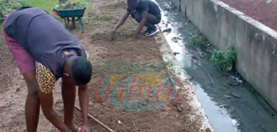 Since their construction a few years ago, proper care has not been sustained. Since their construction a few years ago, proper care has not been sustained.
